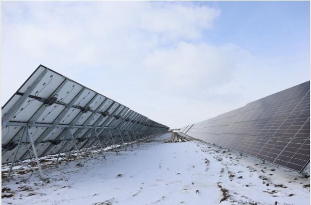 Total Seed Production solar panels